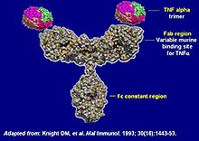 Remicade-merck.jpg