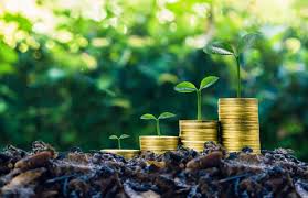 Greens-coins.jpg