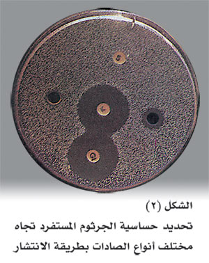 3748-2.jpg