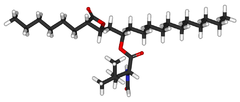 Orlistat 3D sticks.png