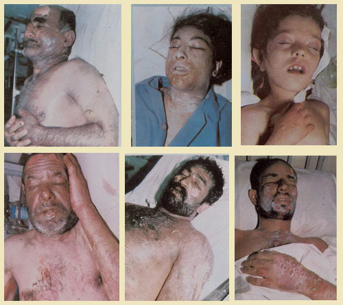 ملف:Sardashtchemic.jpg