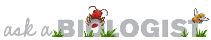 ملف:Ask a biologist header graphic.png