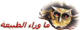 صورة معبرة عن الموضوع ما وراء الطبيعة (سلسلة)
