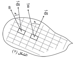3536-2.jpg