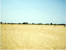 FMNR example 2.jpeg