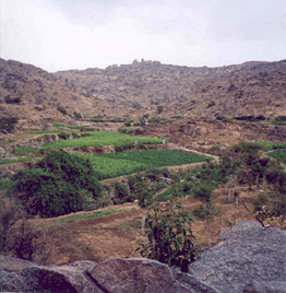 صعدة.gif