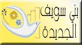 Beniswef logo.gif