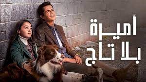 أميرة بلا تاج.jpg