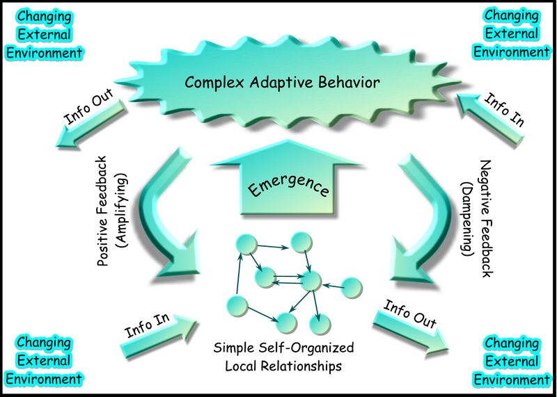 ملف:Complex-adaptive-system.jpg