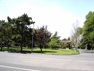 طريق داخل ژونگ‌نان‌هاي.