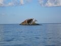 SS Atlantus