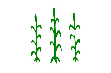 ملف:Bandera d'Alcanar.svg