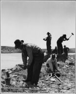 A group of men, all wearing similarly styled overalls and wide-brimmed hats, are bent over, kneeling, and standing in a field. It appears as though most also wield a hammer-like tool.