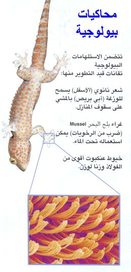 Scanlizard.jpg