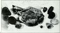 Ancient Egypt ((198-)) (18008599599).jpg