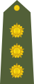 Indian Army