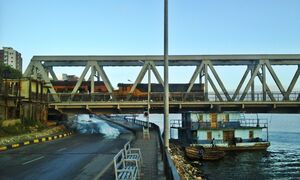 Desouk-2015-6.jpg
