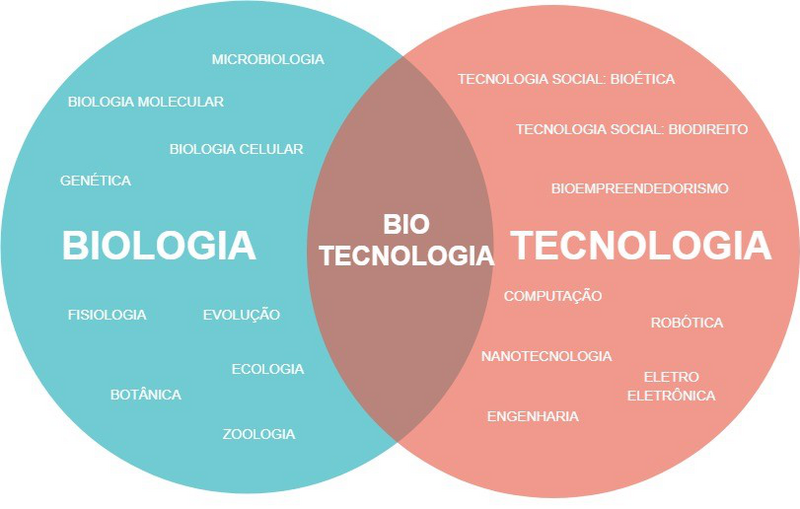 ملف:Biotecnologia Fase3.png