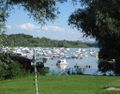 Danube river in Zemun