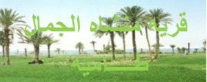قريه منشاة الجمال طامية الفيوم .gif