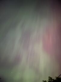 شفق قطبي كما يُرى من أوثلو، واشنطن، الولايات المتحدة (46°N)