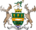 Down arms.png