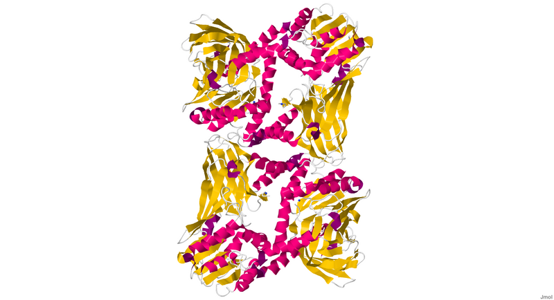 ملف:PDB1.png