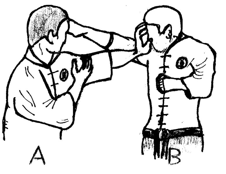 ملف:Punch tigre2.jpg
