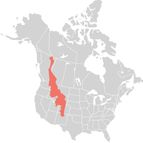 RockyMountains-Range.svg