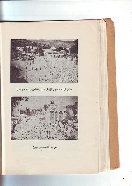 ملف:فلسطين الشهيدة.pdf