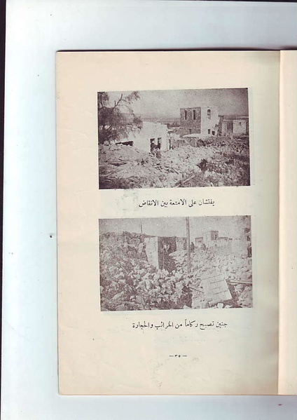 ملف:فلسطين الشهيدة.pdf