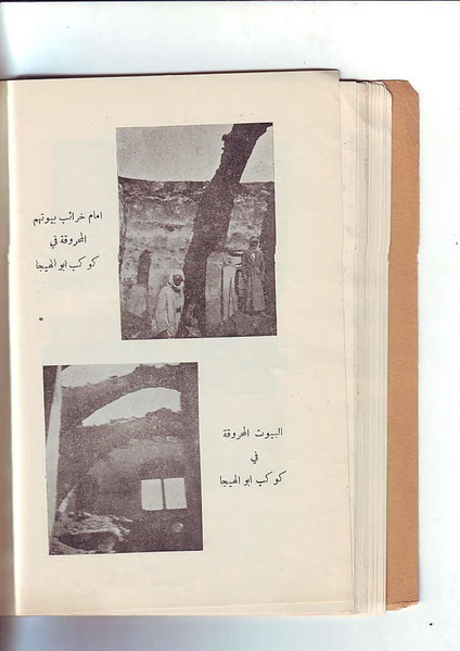 ملف:فلسطين الشهيدة.pdf