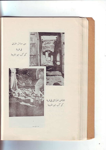 ملف:فلسطين الشهيدة.pdf