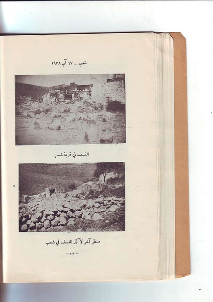 ملف:فلسطين الشهيدة.pdf