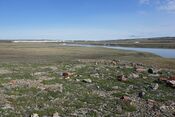 Aulavik tent ring stones.jpg