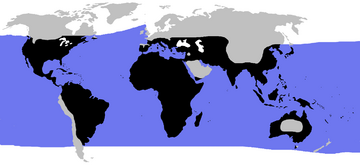 World.distribution.testudines.1.png