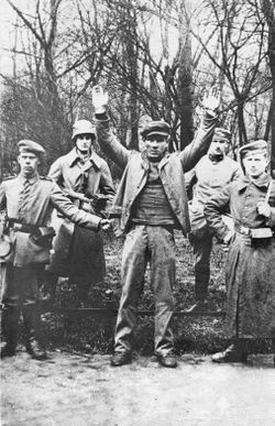 Bundesarchiv Bild 146-2004-0048, Revolution in Bayern, Gefangener.jpg