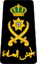 17. JLF-GEN.svg