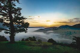 Abr Jungle in Iran by Pouria Afkhami pixoos 05.jpg
