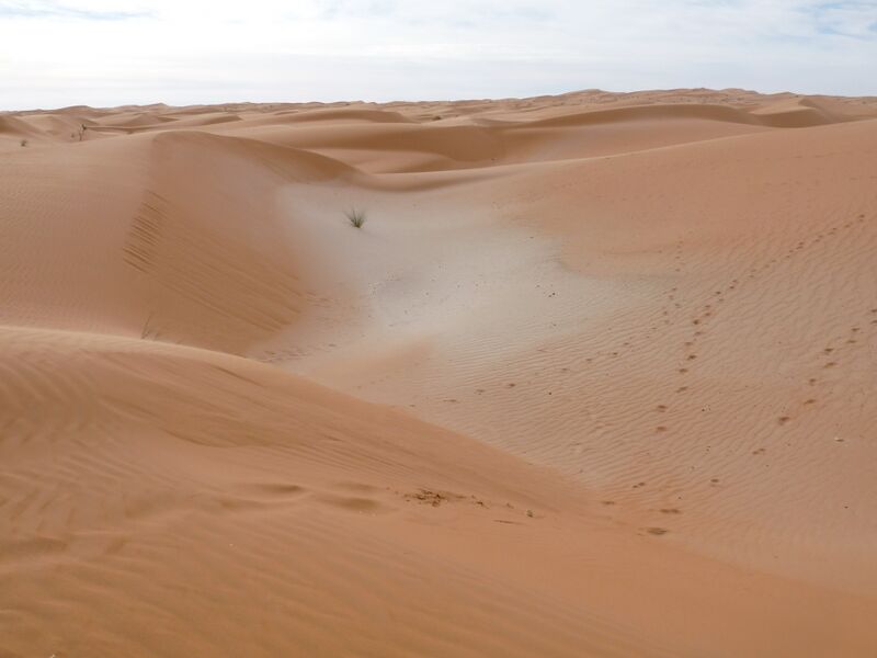 ملف:Adrar sands.JPG