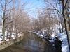 Scajaquada Creek within Forest Lawn Cemetery.jpg