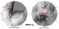 Contrasting images of the number of lakes in Titan's northern hemisphere (left) and southern hemisphere (right).