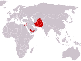 صورة معبرة عن الموضوع ثعلب أفغاني