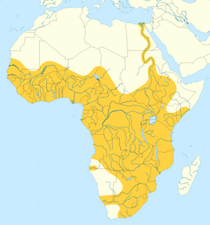 Nile monitor (varanus niloticus) distribution map.png