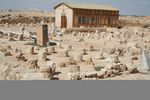 Ancient ruins with parts of pillars on the ground