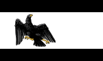 Flag of Prussia (1918–1933).svg