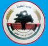 الختم الرسمي لـ الطفيلة