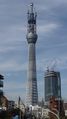 23 يناير 2011 (559 m)