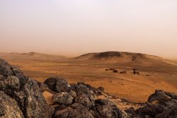 الحلقة الداخلية في تكوين الريشات.