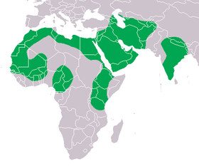 صورة معبرة عن الموضوع ضبع مخطط